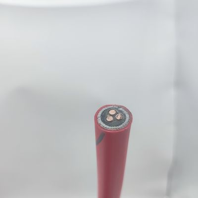 Καλή τιμή Δικτυακό καλώδιο 300/500V 1T2.5 CU/MGT/XLPE/OS/FR/LSZH/GSWA/LSZH 1x3x2.5 On-line