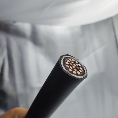 Καλή τιμή Δικτυακό καλώδιο 300/500V 20Cores CU/MGT/XLPE/OS/FR/LSZH/GSWA/LSZH 20х2,5 On-line